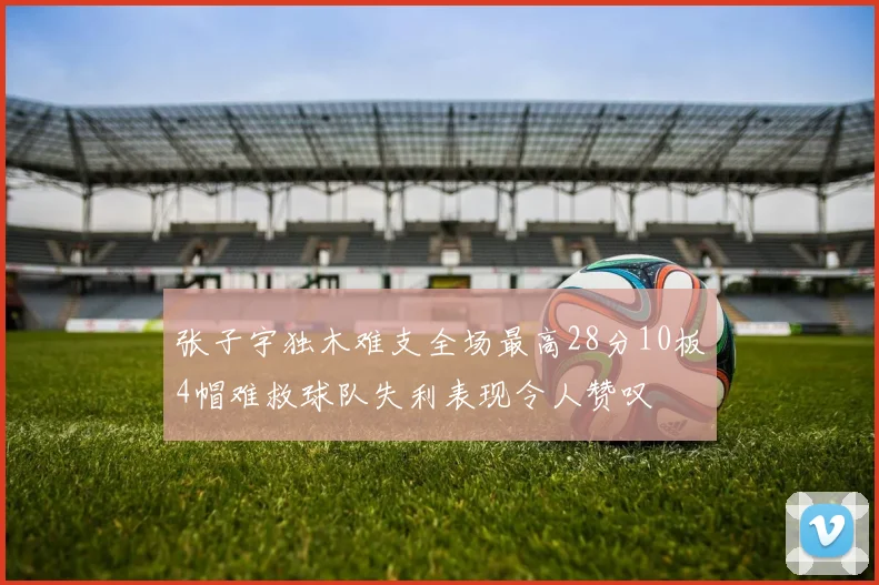 张子宇独木难支全场最高28分10板4帽难救球队失利表现令人赞叹