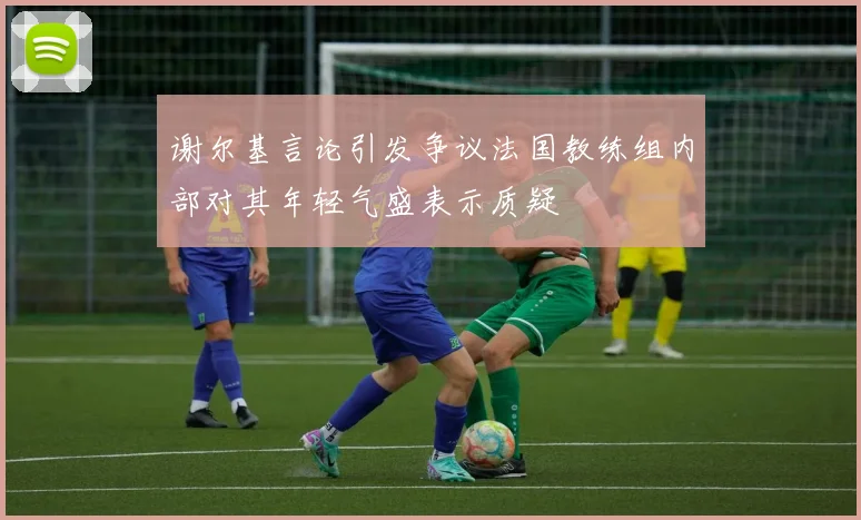 谢尔基言论引发争议法国教练组内部对其年轻气盛表示质疑