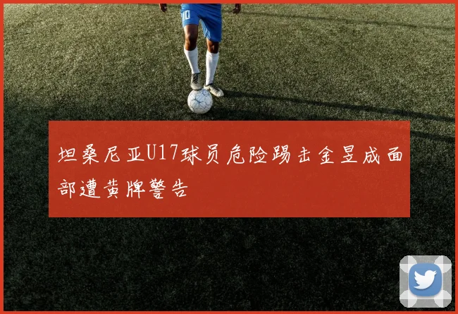 坦桑尼亚U17球员危险踢击金昱成面部遭黄牌警告