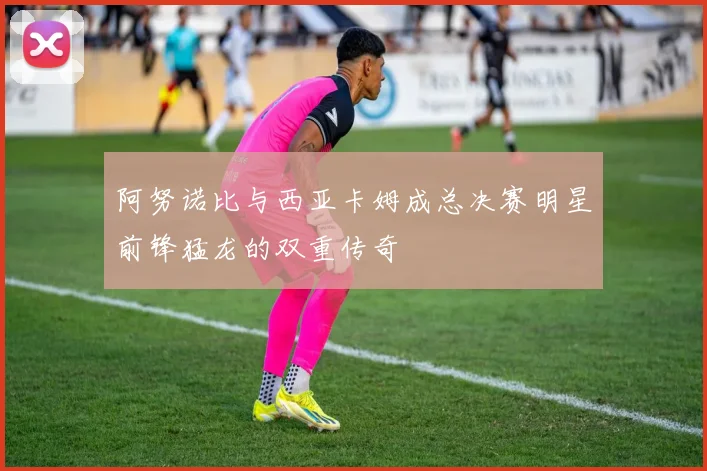 阿努诺比与西亚卡姆成总决赛明星前锋猛龙的双重传奇